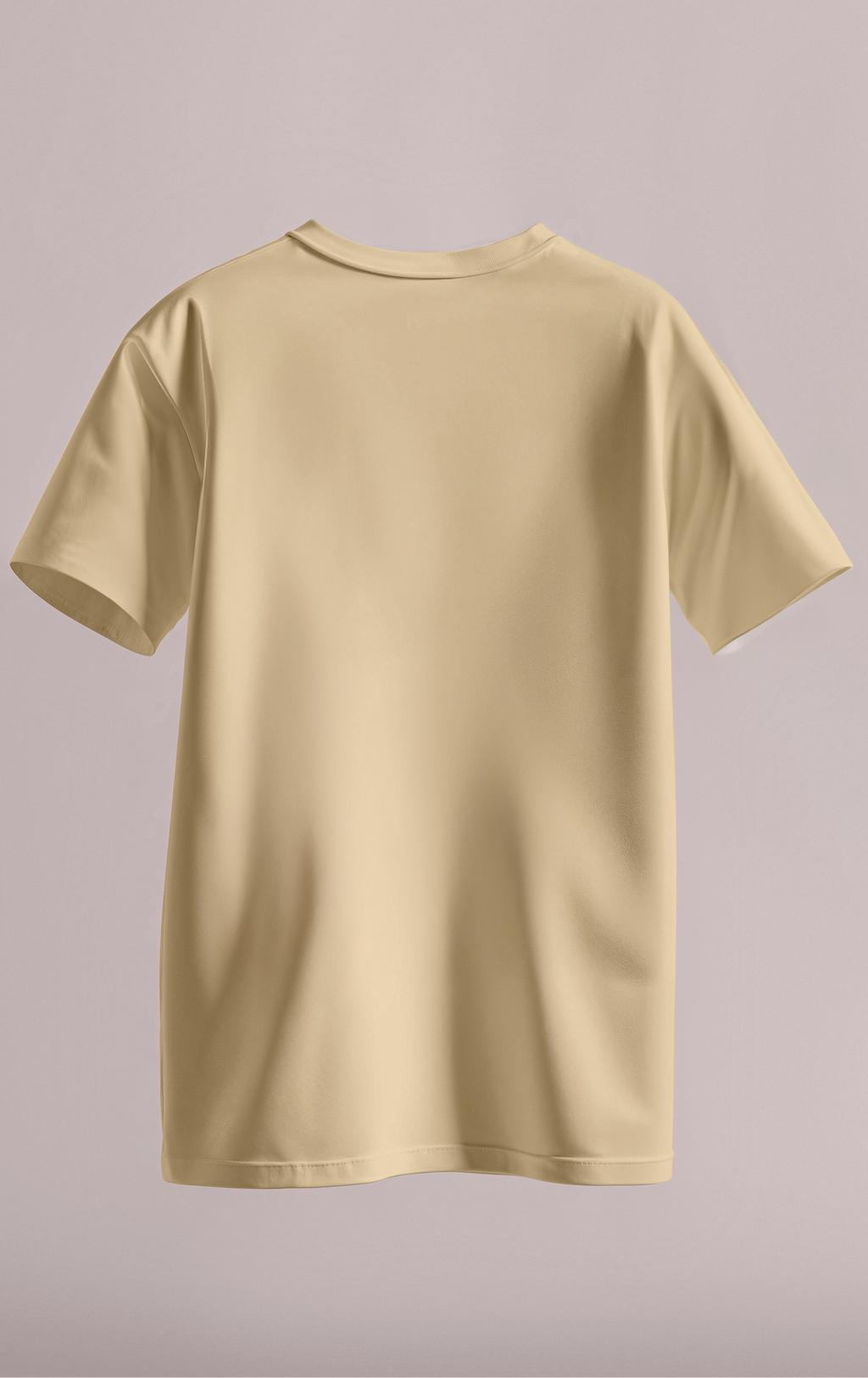 Plain Daily Fit T-Shirt